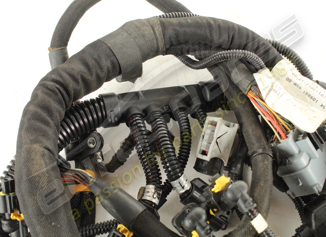 used ferrari rh injection wiring harness. part number 278891 (4)