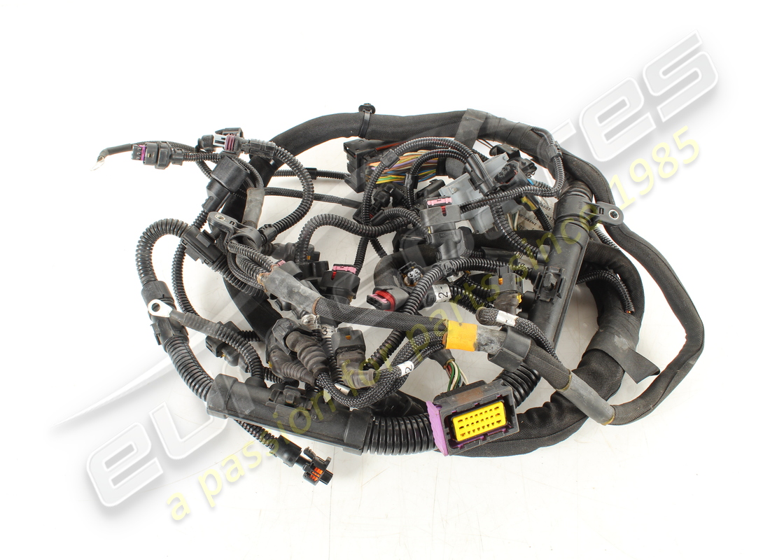 used ferrari rh injection wiring harness. part number 278891 (1)