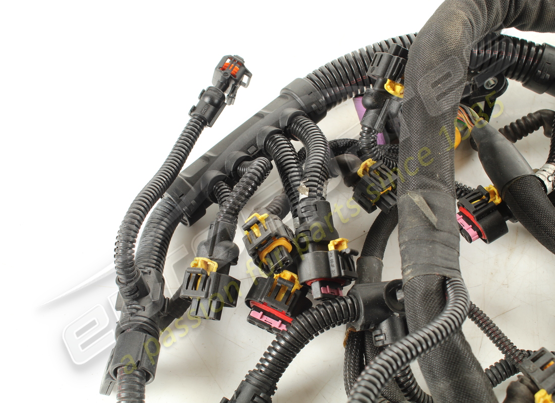 used ferrari rh injection wiring harness. part number 278891 (5)