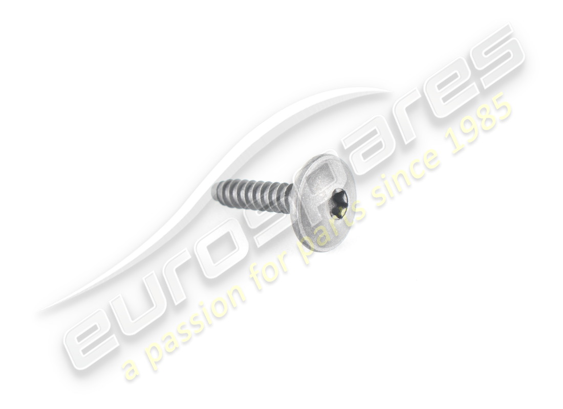 new lamborghini screw. part number n91040401 (1)