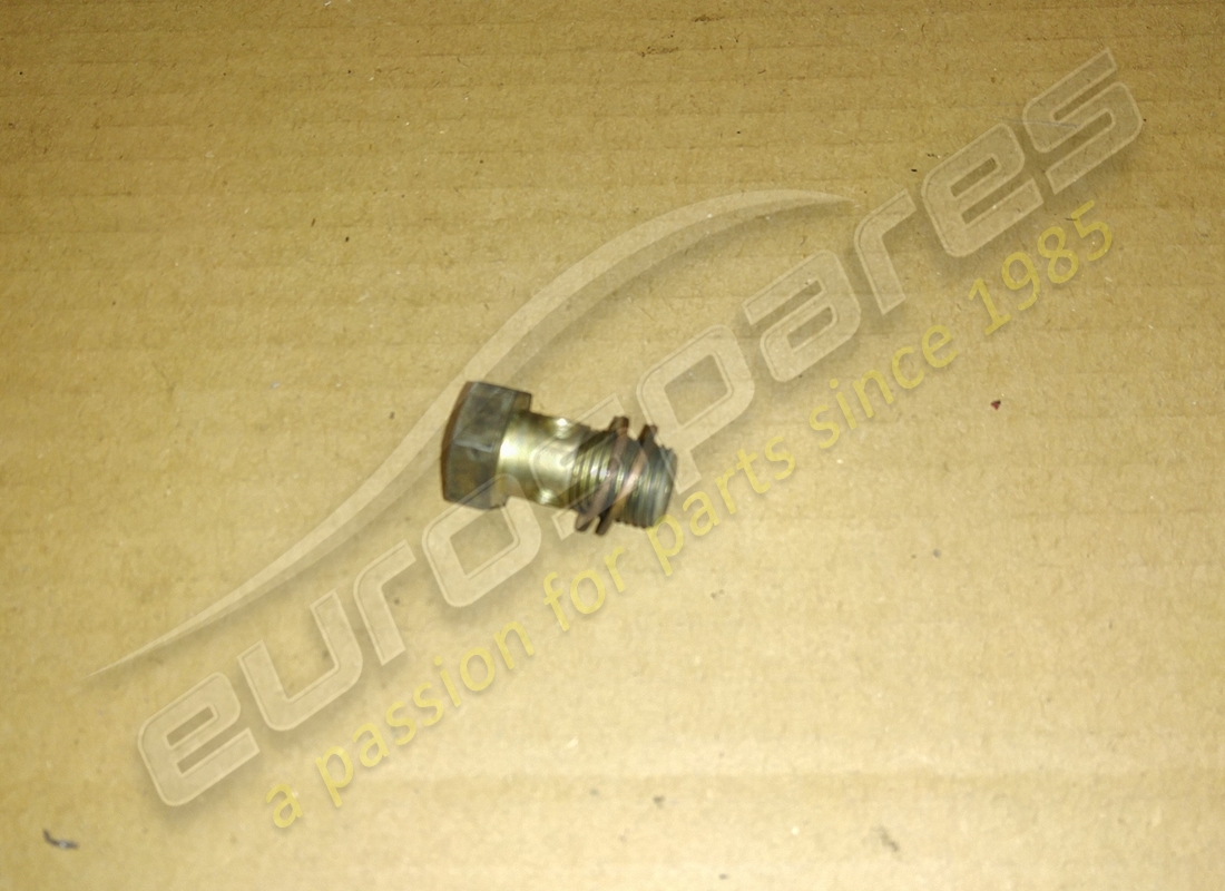 used ferrari banjo bolt. part number 113670 (1)