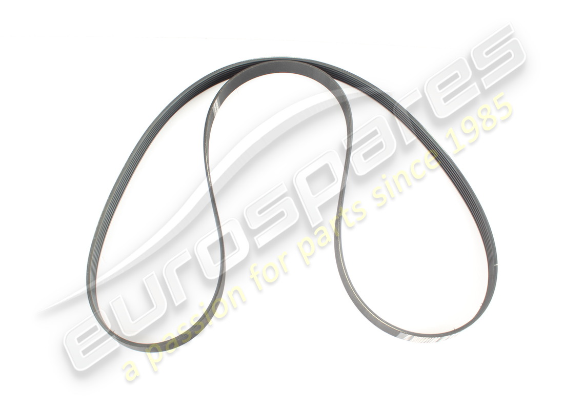new maserati auxiliary belt. part number 771134 (1)