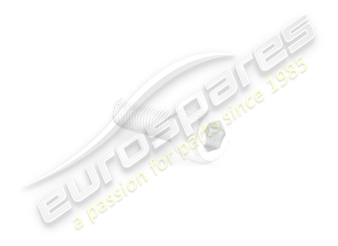 NEW Ferrari SCREW . PART NUMBER 14307524 (1)
