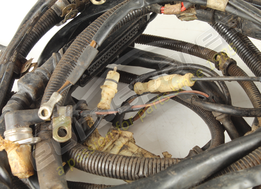 USED FERRARI CABLES. PART NUMBER 124372 (3) used ferrari cables. part number 124372 (3)