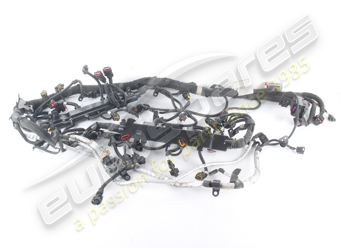 used ferrari injection wiring harness. part number 314807 (1)