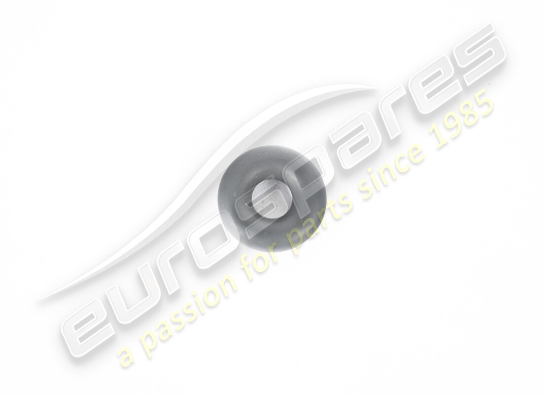 new eurospares o ring. part number 113570 (1)
