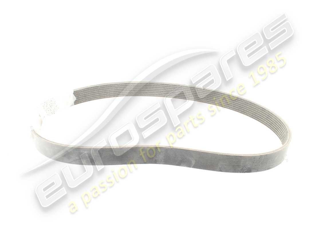 NEW FERRARI BELT POLY-V K8. PART NUMBER 199827 (1) new ferrari belt poly-v k8. part number 199827 (1)