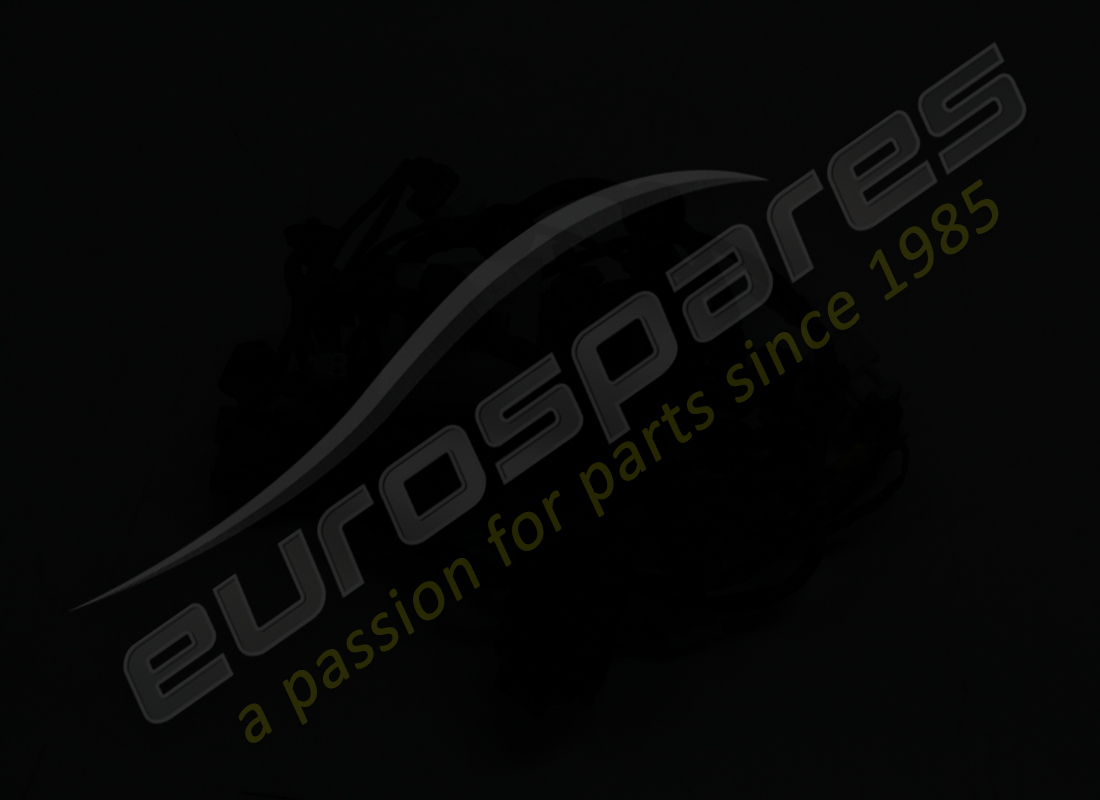 used ferrari passenger side door cable. part number 846150 (3)