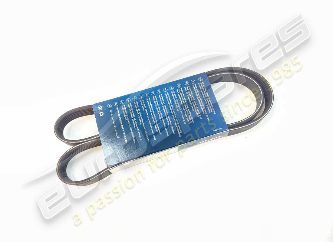 new oem water pump and generator belt. part number 201446 (1)