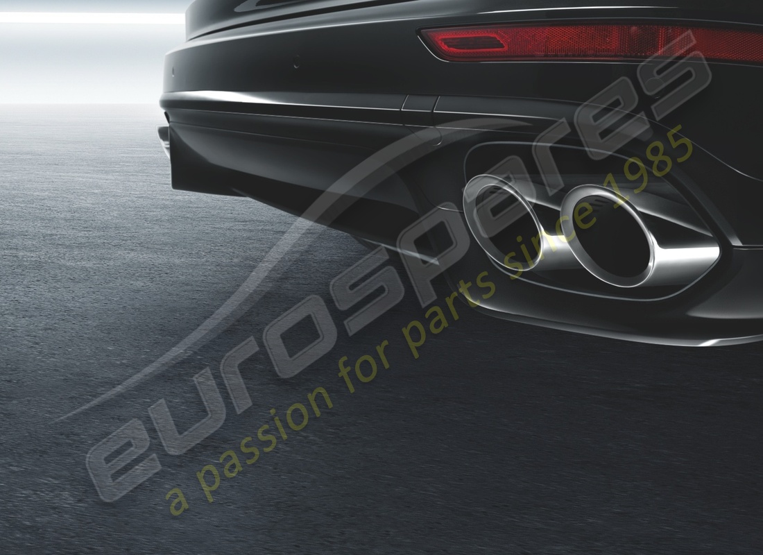 new porsche sports tailpipes. part number 95804420017 (1)