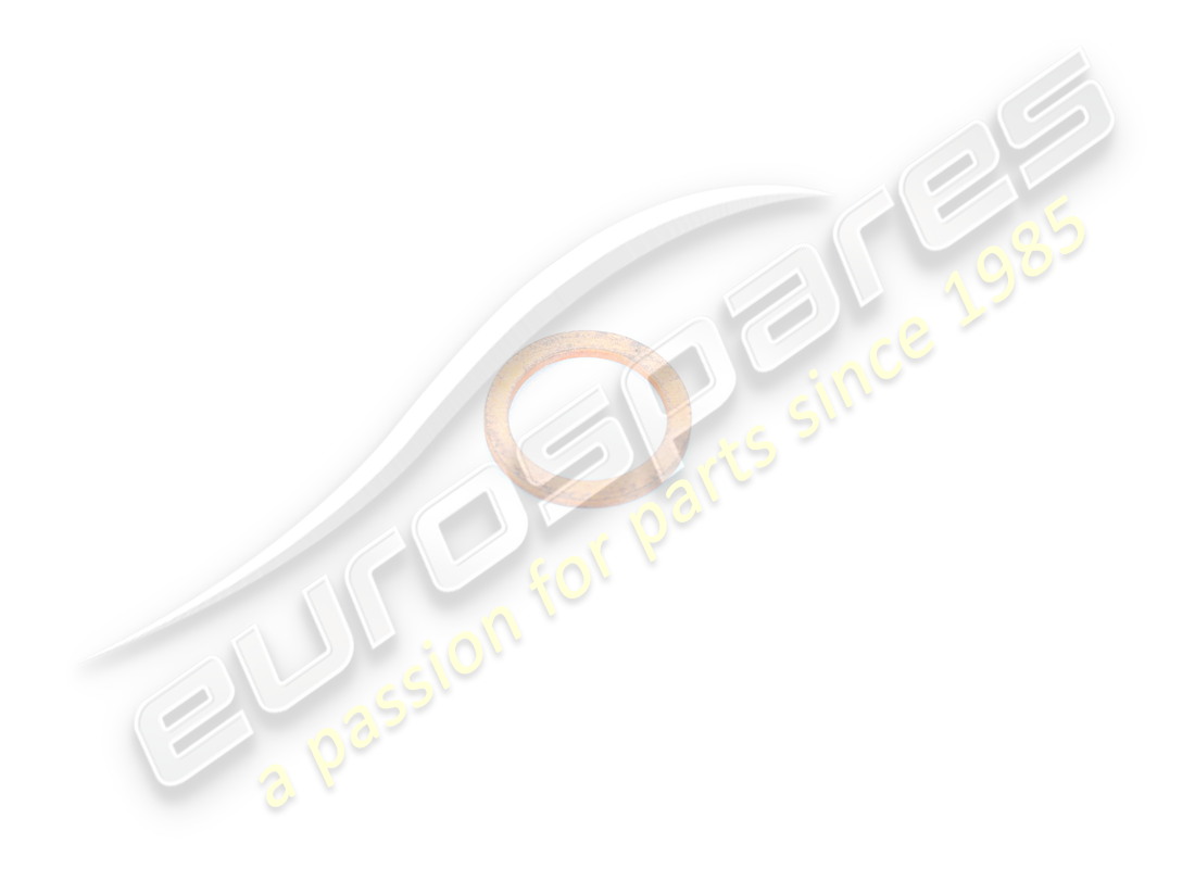 new ferrari washer. part number 10280050 (1)