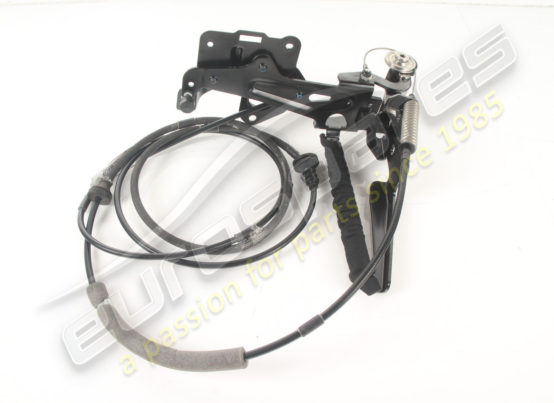 used ferrari complete lh flap. part number 801214 (1)