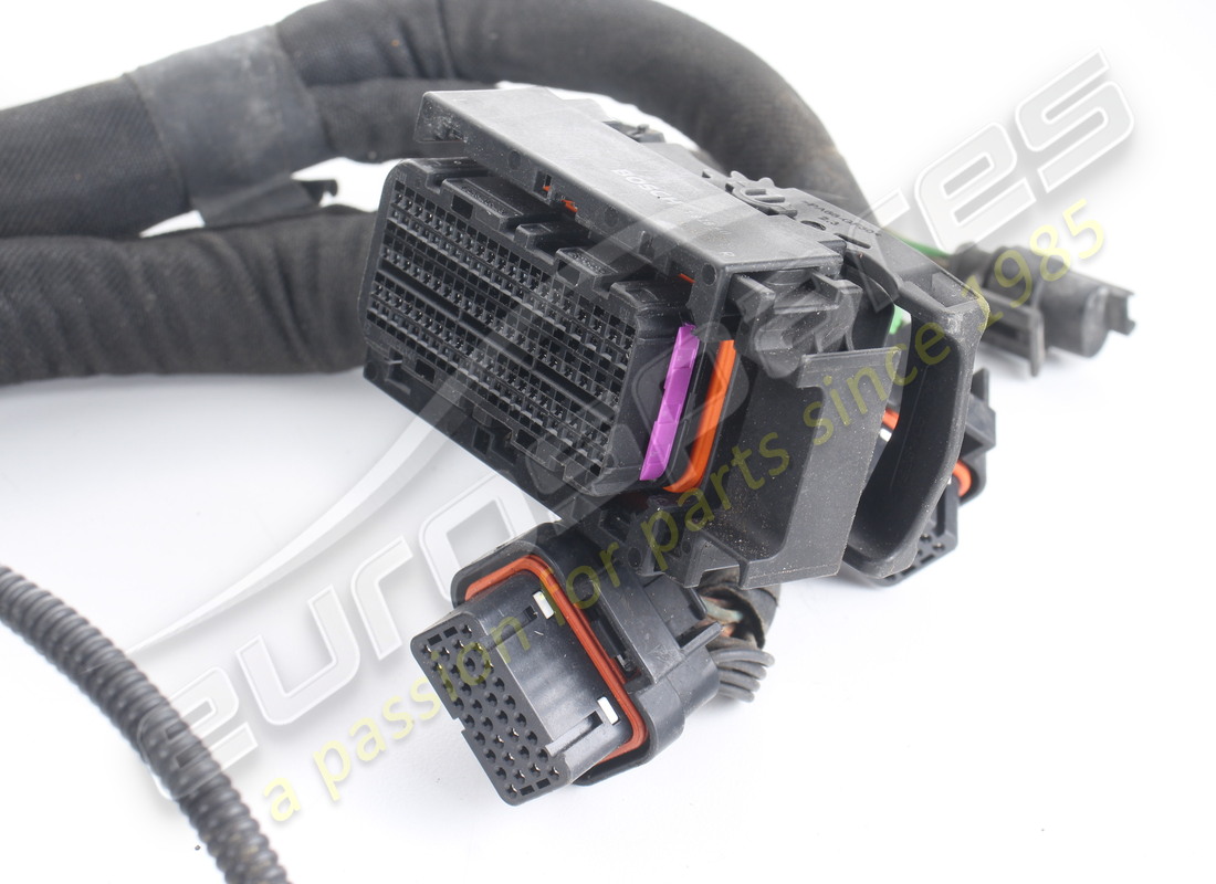 used ferrari injection wiring harness. part number 314807 (4)