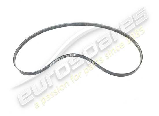 new maserati auxiliary belt part number 239616